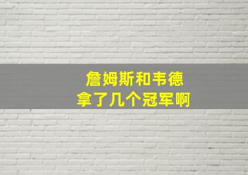 詹姆斯和韦德拿了几个冠军啊