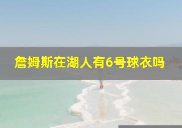 詹姆斯在湖人有6号球衣吗