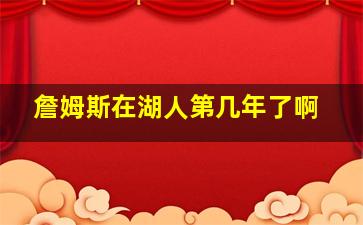 詹姆斯在湖人第几年了啊