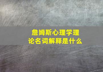 詹姆斯心理学理论名词解释是什么