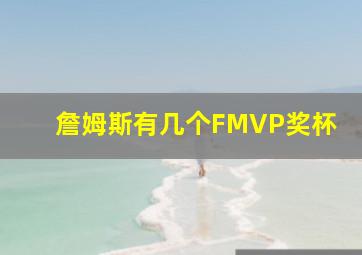 詹姆斯有几个FMVP奖杯