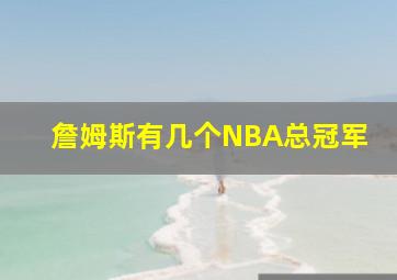 詹姆斯有几个NBA总冠军