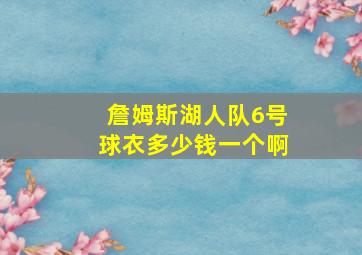 詹姆斯湖人队6号球衣多少钱一个啊