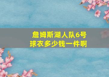 詹姆斯湖人队6号球衣多少钱一件啊