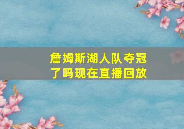 詹姆斯湖人队夺冠了吗现在直播回放