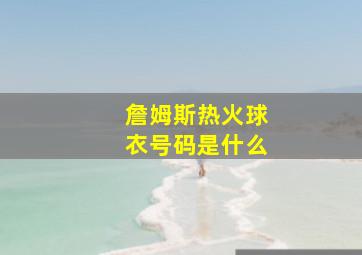 詹姆斯热火球衣号码是什么