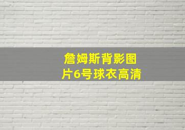 詹姆斯背影图片6号球衣高清