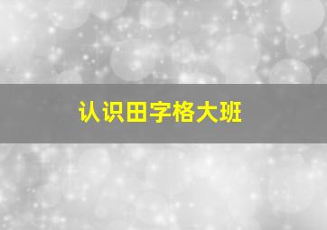 认识田字格大班