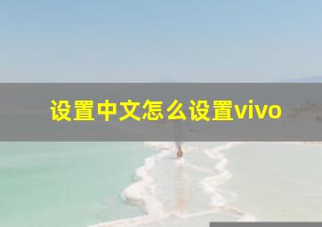 设置中文怎么设置vivo