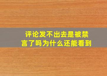 评论发不出去是被禁言了吗为什么还能看到