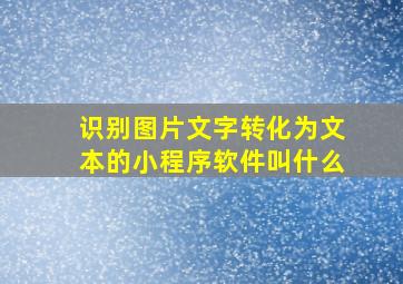 识别图片文字转化为文本的小程序软件叫什么