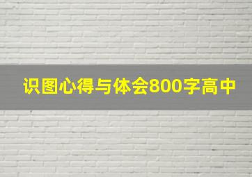 识图心得与体会800字高中