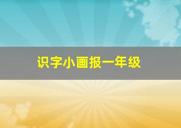 识字小画报一年级