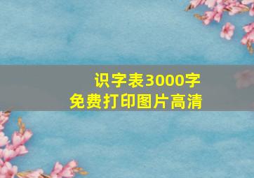 识字表3000字免费打印图片高清