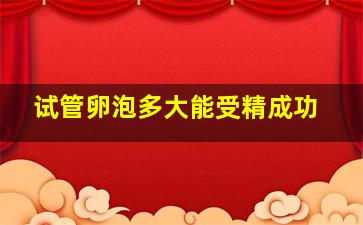 试管卵泡多大能受精成功