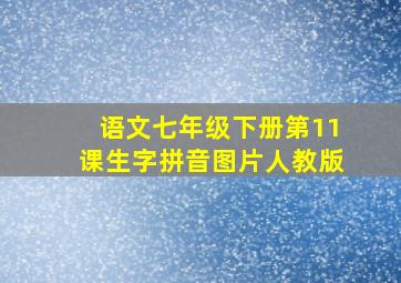 语文七年级下册第11课生字拼音图片人教版