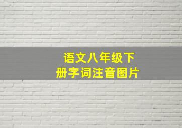 语文八年级下册字词注音图片