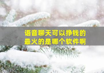 语音聊天可以挣钱的最火的是哪个软件啊