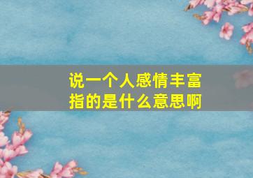 说一个人感情丰富指的是什么意思啊