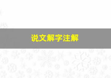 说文解字注解