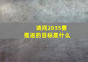 请问2035要推进的目标是什么