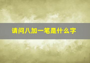 请问八加一笔是什么字