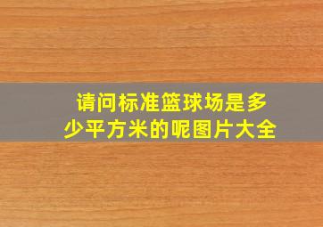 请问标准篮球场是多少平方米的呢图片大全