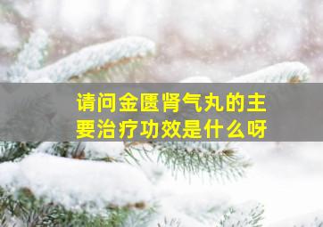 请问金匮肾气丸的主要治疗功效是什么呀