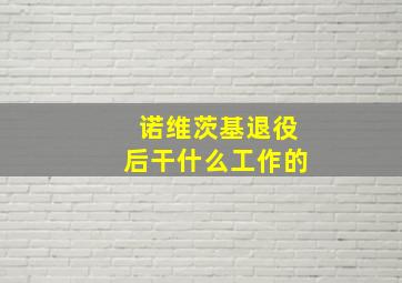 诺维茨基退役后干什么工作的