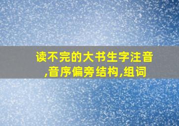 读不完的大书生字注音,音序偏旁结构,组词