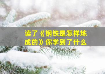 读了《钢铁是怎样炼成的》你学到了什么