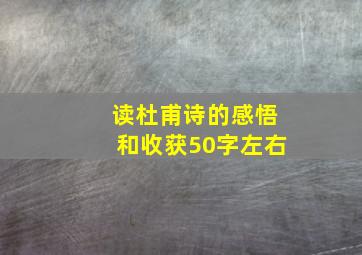 读杜甫诗的感悟和收获50字左右