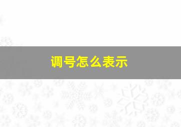 调号怎么表示