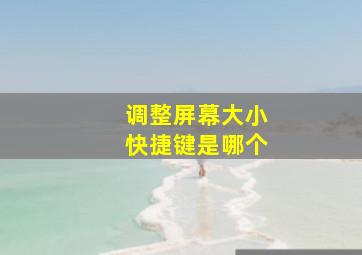 调整屏幕大小快捷键是哪个