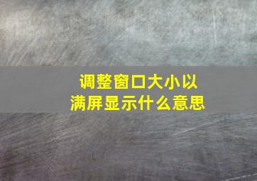 调整窗口大小以满屏显示什么意思