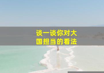 谈一谈你对大国担当的看法