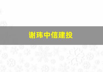 谢玮中信建投