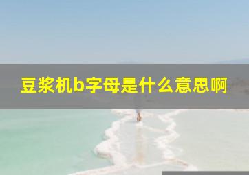 豆浆机b字母是什么意思啊