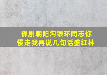 豫剧朝阳沟银环同志你慢走我再说几句话盛红林