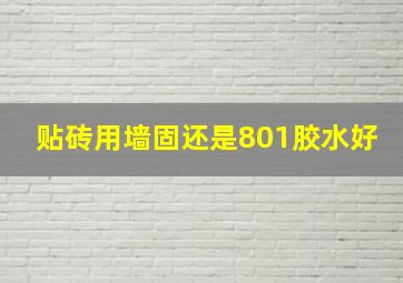 贴砖用墙固还是801胶水好