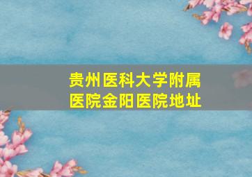 贵州医科大学附属医院金阳医院地址