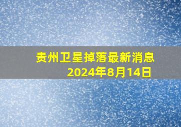 贵州卫星掉落最新消息2024年8月14日