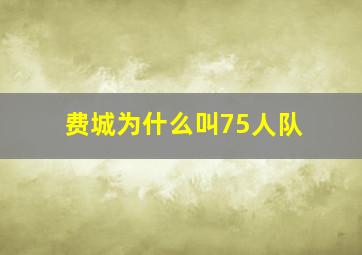 费城为什么叫75人队