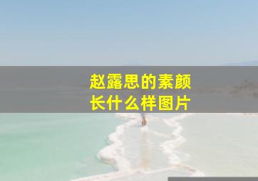 赵露思的素颜长什么样图片