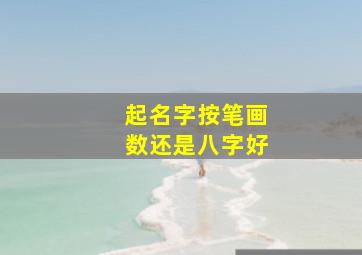 起名字按笔画数还是八字好