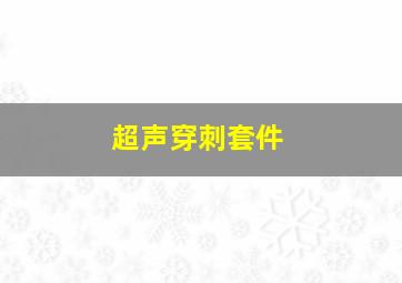 超声穿刺套件