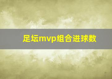 足坛mvp组合进球数