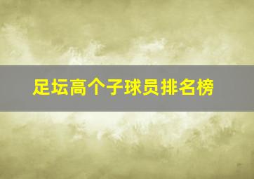 足坛高个子球员排名榜