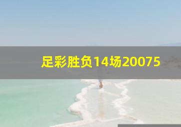 足彩胜负14场20075