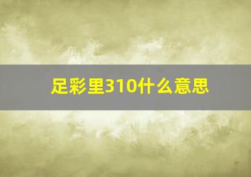 足彩里310什么意思